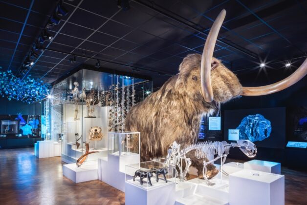 Transforming The Box from an idea into a world class cultural destination