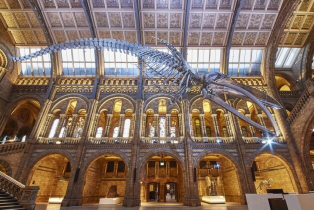 Natural History Museum wins business rates cut to £1