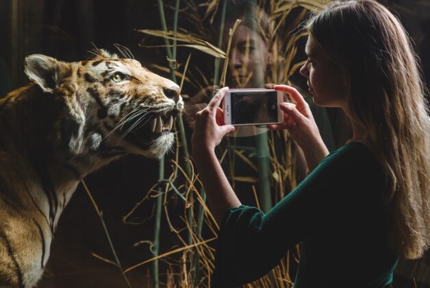 New photography project at Exeter museum shifts focus to young people’s wellbeing