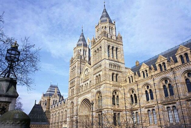 Natural History Museum most visited UK museum in new visitor report