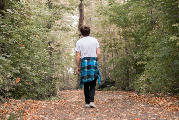 RAMM collaboration sees creation of Exeter audio-guided walks