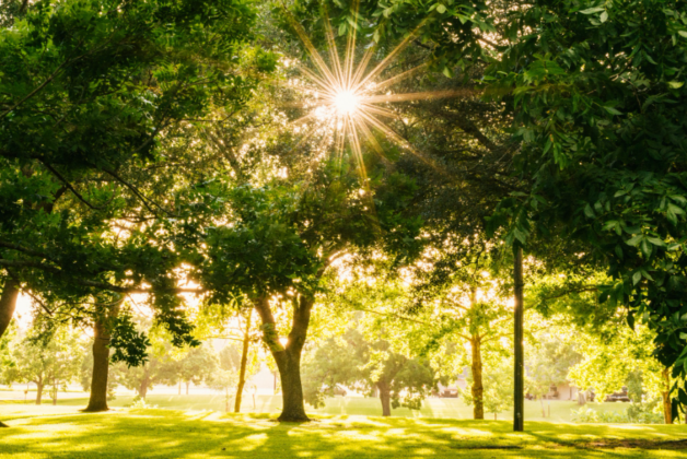 Theme for 2023’s International Museum Day revealed