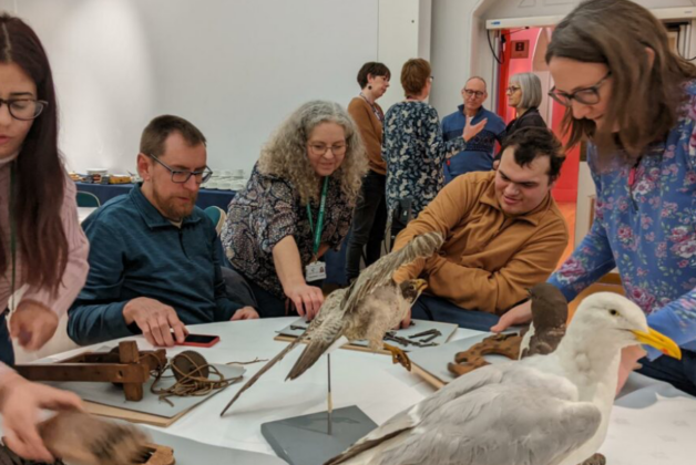 RAMM’s creative audio guides bring visitors new perspectives