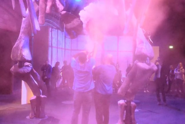 Natural History Museum’s Titanosaur undamaged after Just Stop Oil protest