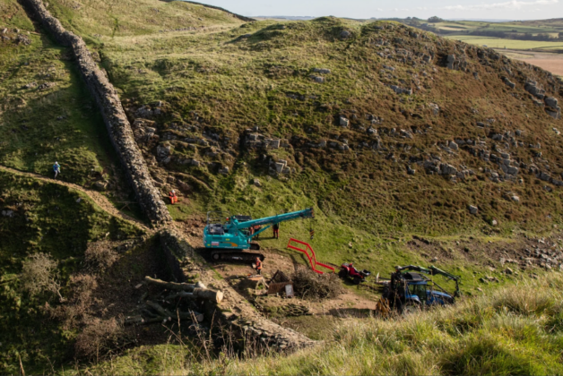 Sycamore Gap tree to ‘live on’ via seeds and cuttings says National Trust