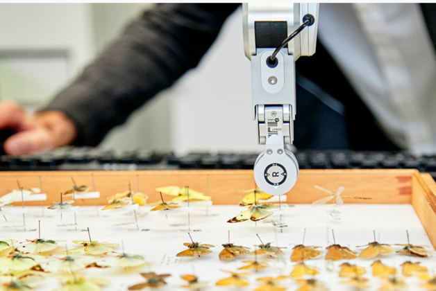 Project digitising UK’s natural science collection to receive £155m