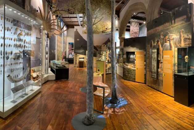 Step into Kent’s Past: ‘Lives in Our Landscape’ Exhibition Now Open