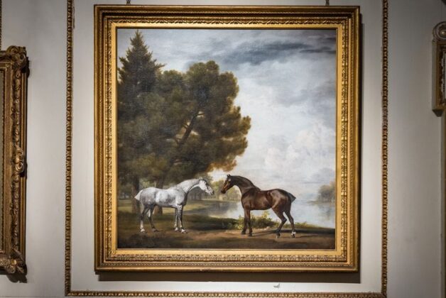 Illuminating a Menagerie – George Stubbs Brought to Light at Wentworth Woodhouse