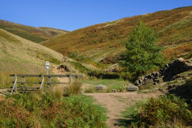 National Trust’s 10-year strategy vows to ‘end unequal access to nature’