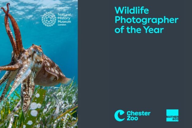 Mather & Co Collaborates with Chester Zoo for the Natural History Museum’s ‘Wildlife Photographer of the Year’ Exhibition
