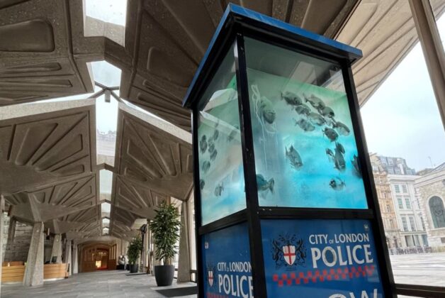 London Museum to store Banksy ahead of display 