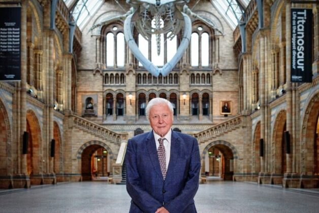 David Attenborough to present 360° experience at Natural History Museum