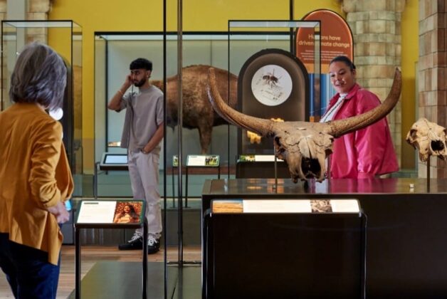 Natural History Museum’s new gallery counts 1m visits in four months