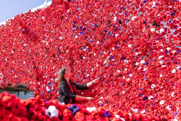 Historic Dockyard Chatham to display 20,000 community-made poppies