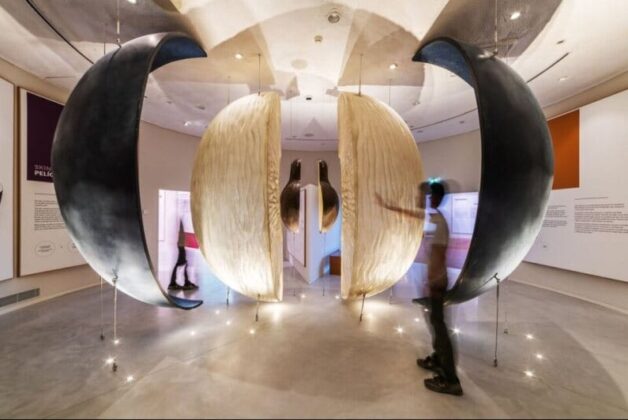 Scruffy Dog Creative Group delivers award-winning experiences at Porto’s World of Wine