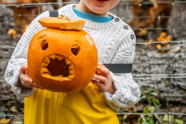 Rural life museum asks for visitors’ leftover pumpkins in novel initiative