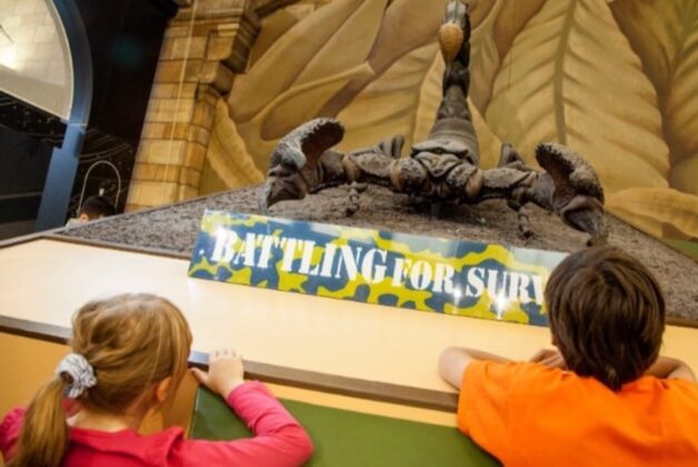 Natural History Museum offers giant mechanical scorpion free to good home