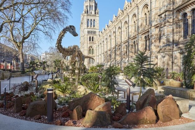 Natural History Museum launches biodiversity programme for museum sites