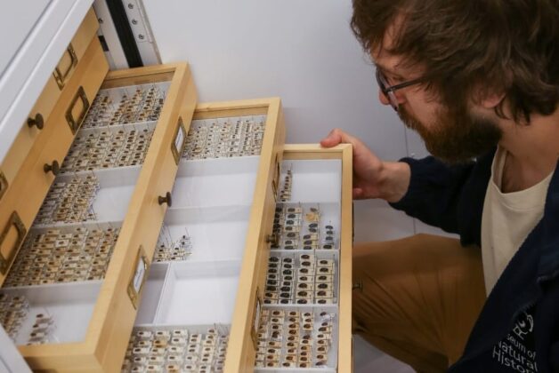 Oxford and Cambridge to lead 23-museum digitisation hub
